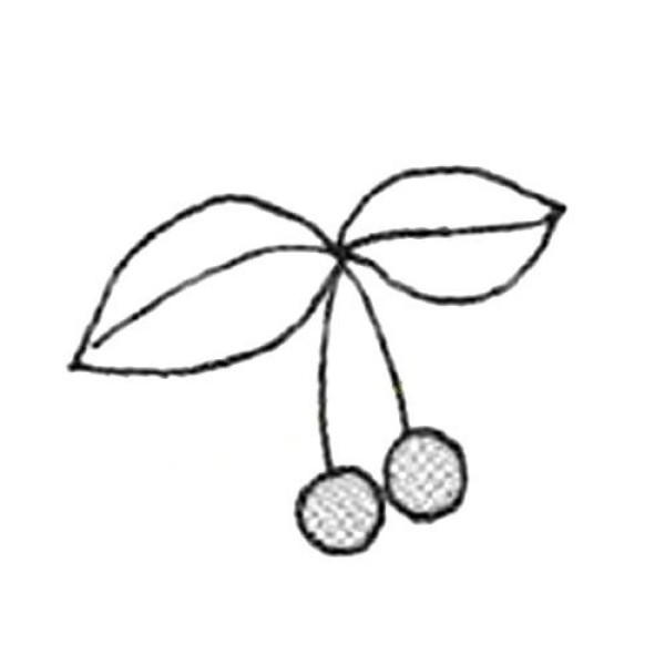 Simple drawing of red cherries