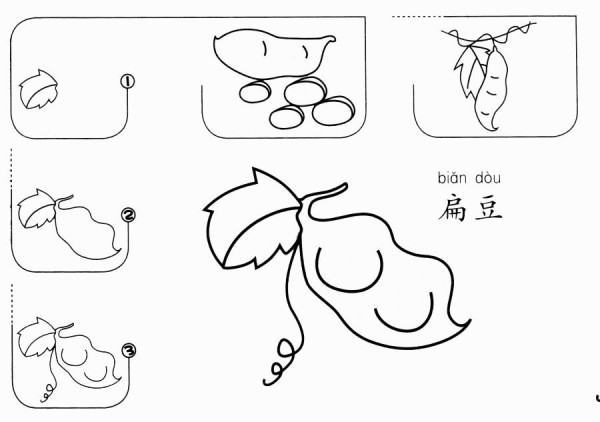 How to draw lentils