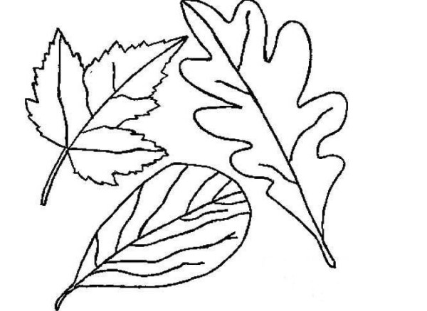 A complete collection of simple strokes of autumn leaves