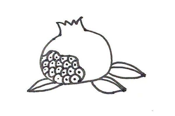 Learn to draw pomegranate with simple strokes