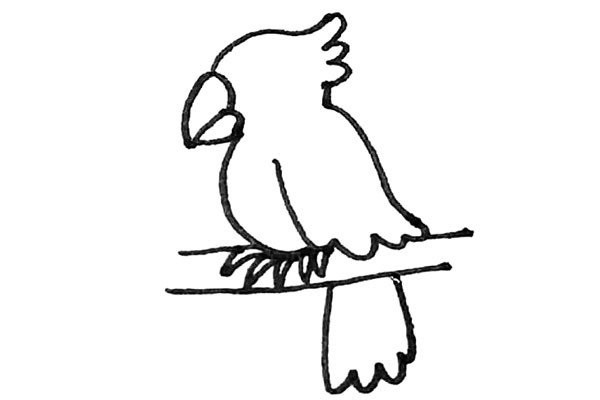 Children learn to draw parrots easily