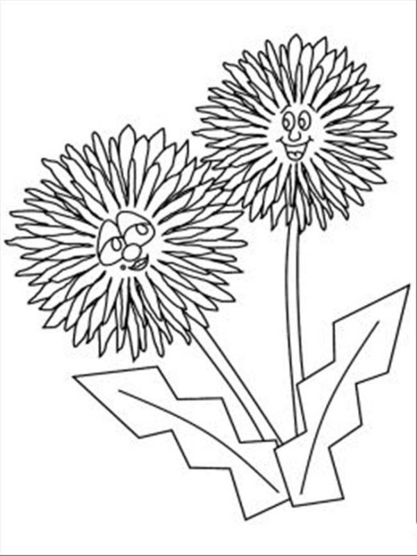 Flower pictures Cute cartoon little chrysanthemum simple drawing