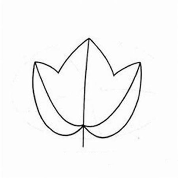 2016 exquisite leaf simple drawing picture material