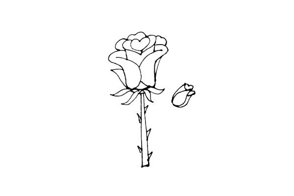 Rose flower simple strokes