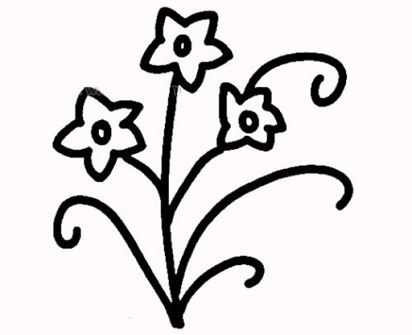 Simple drawing method of daffodils