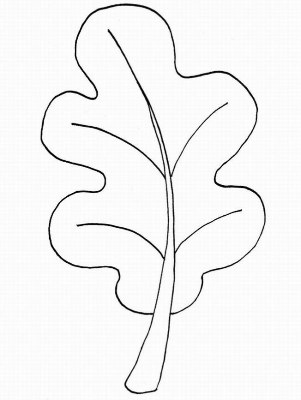 Hand drawn simple drawing of autumn leaves