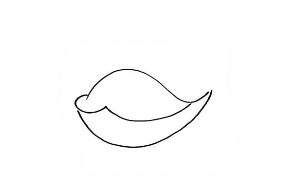 How to draw a cute whale