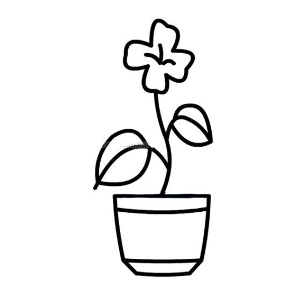 A set of simple sketches of potted flowers