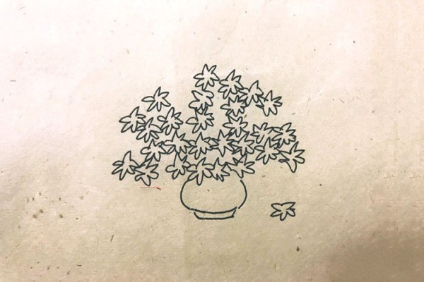 A very artistic set of simple drawings of potted plants