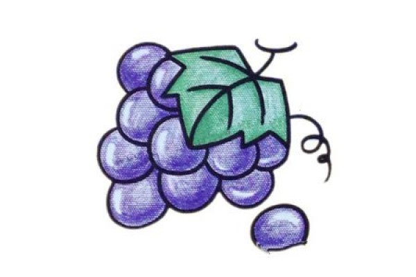 Simple Drawing for Intermediate Grapes