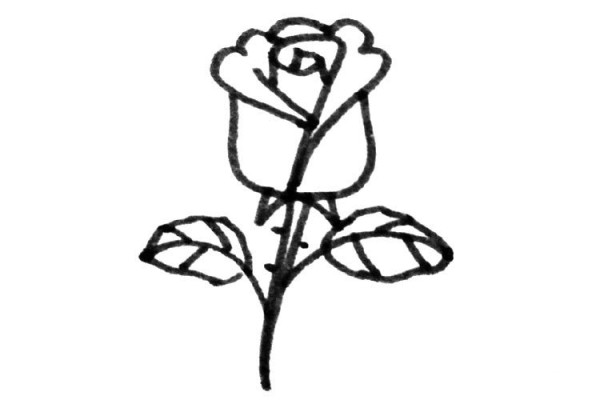 Various ways to draw roses