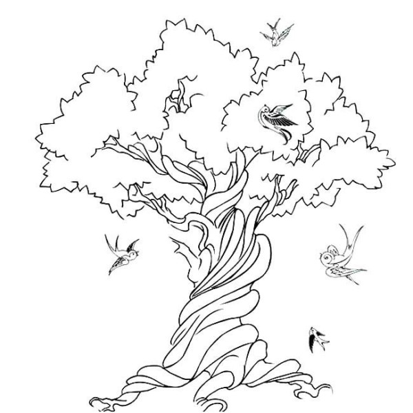 Simple drawing of big tree Simple drawing of tall ancient tree