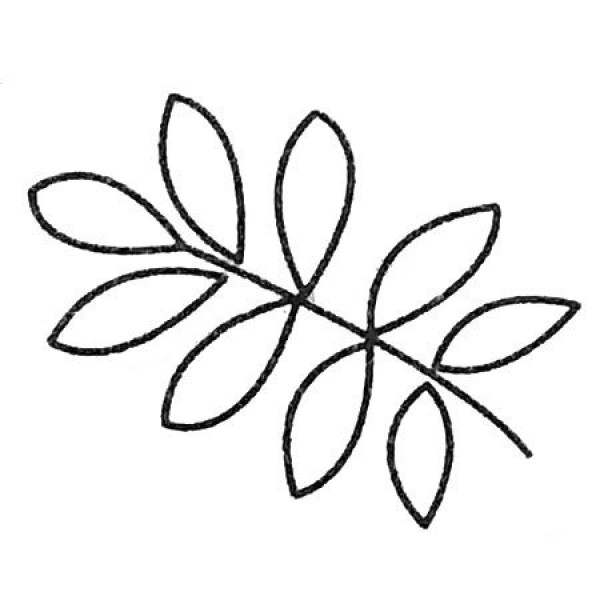 Complete collection of simple drawings of leaves and drawing steps