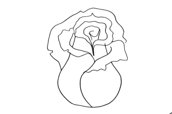 Draw beautiful pink roses in simple steps