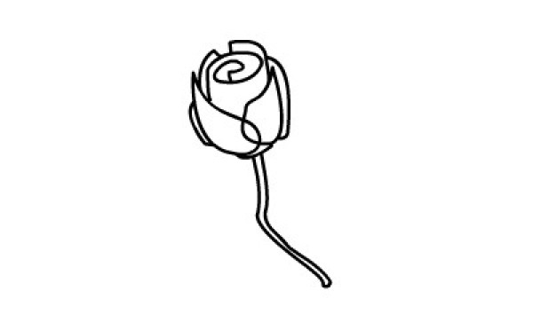 How to draw simple roses