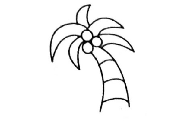 Complete picture collection of coconut tree simple strokes and drawing steps