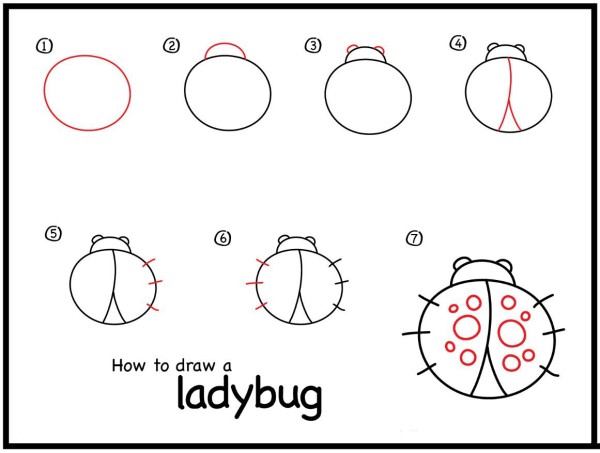 How to draw a ladybug