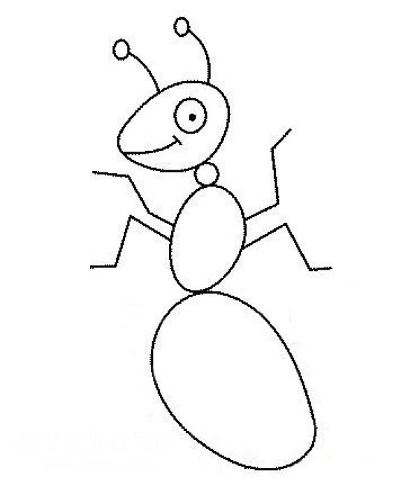 Kindergarten insect simple drawing lesson plan Ant