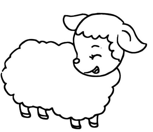 Sheep simple drawing pictures