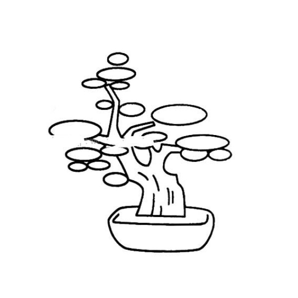 Simple drawing of small tree bonsai