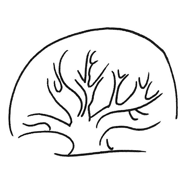 Six simple and beautiful bush drawing pictures