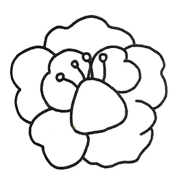 Complete collection of childrens simple drawings Complete collection of simple drawings of peony flowers