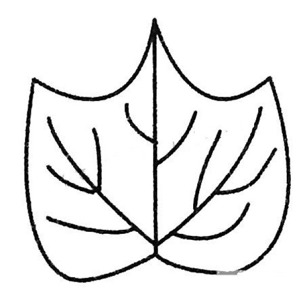 Complete collection of simple strokes of beautiful leaves