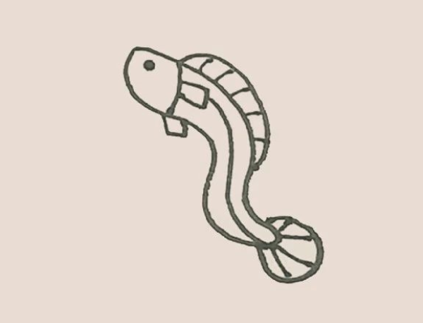 How to draw an eel in simple strokes