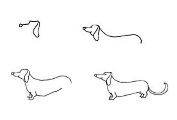 Step-by-step diagram of how to draw a dog: How to draw a dog