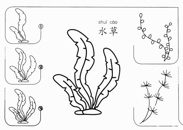 How to draw water plants