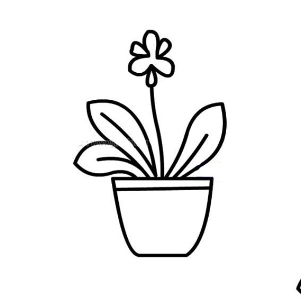 A set of simple sketches of potted flowers