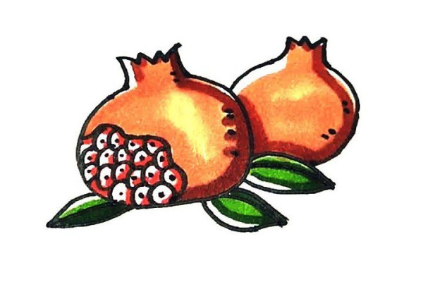 Learn to draw pomegranate with simple strokes