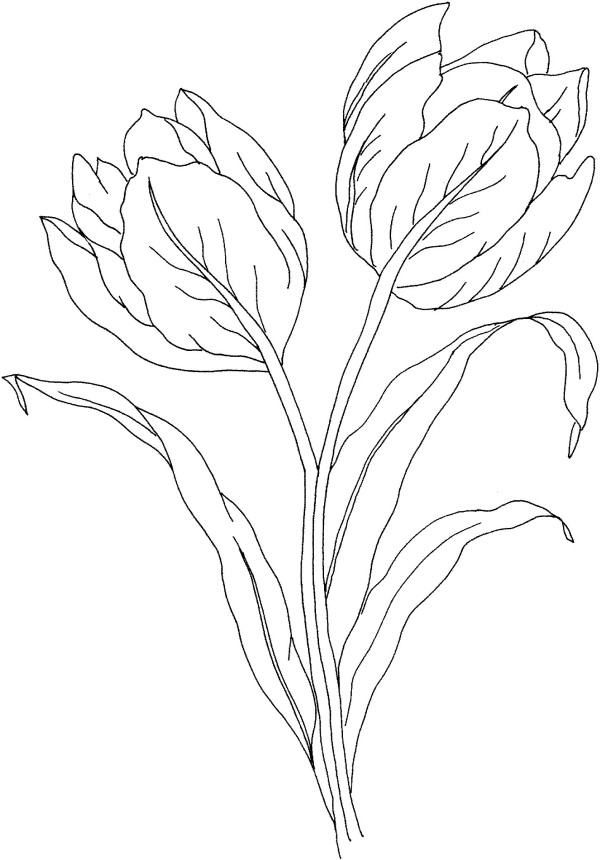 Teach children to draw tulips