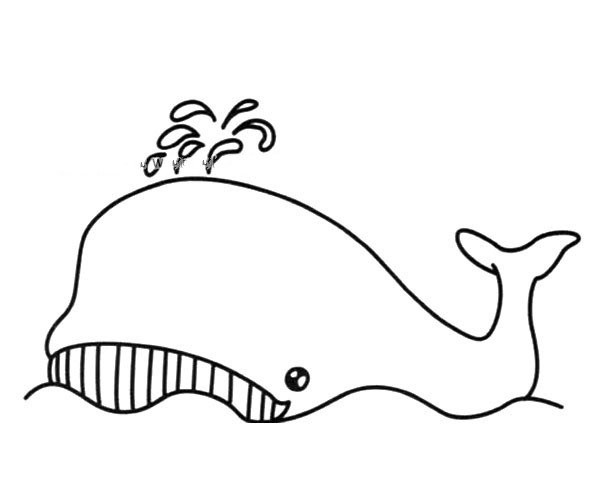 Simple whale drawing pictures