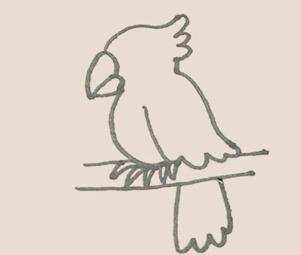 How to Draw a Parrot Simple Drawing