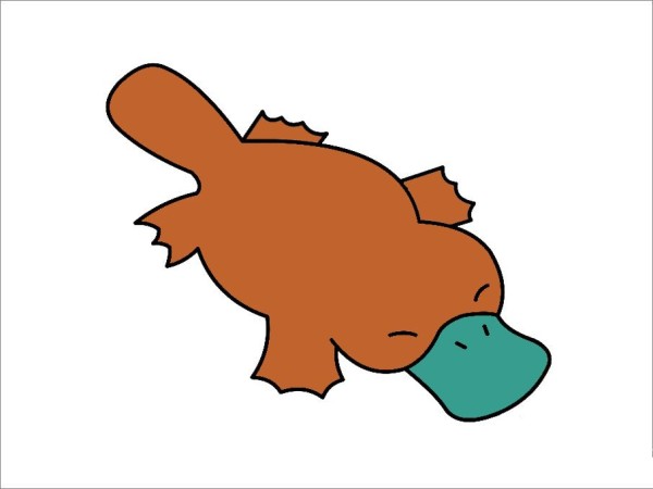 How to draw a platypus