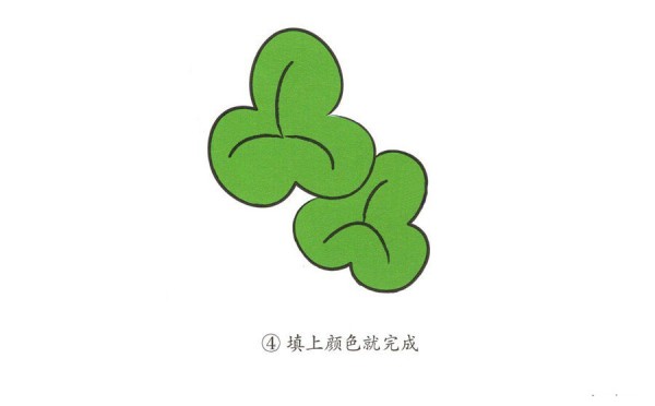 Learn to draw a clover