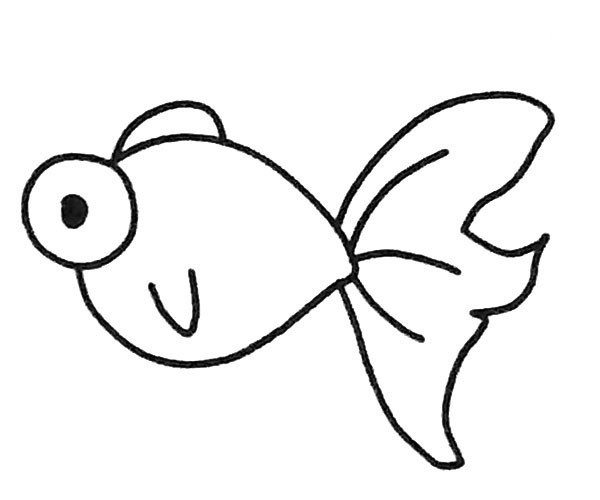 A set of beautiful goldfish simple drawing pictures