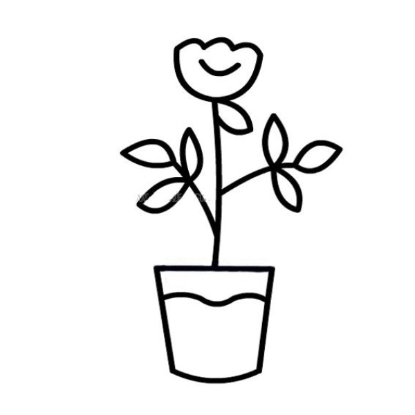 A set of simple sketches of potted flowers