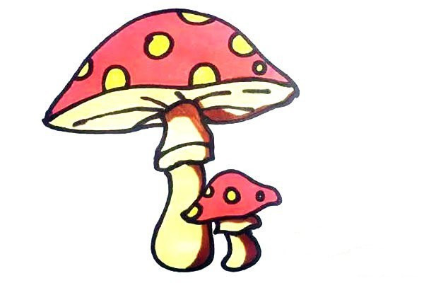 How to draw cute mushrooms