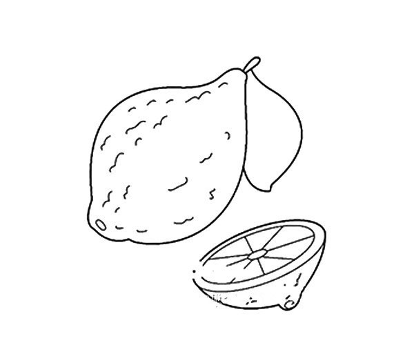 Two beautiful lemon simple drawing pictures