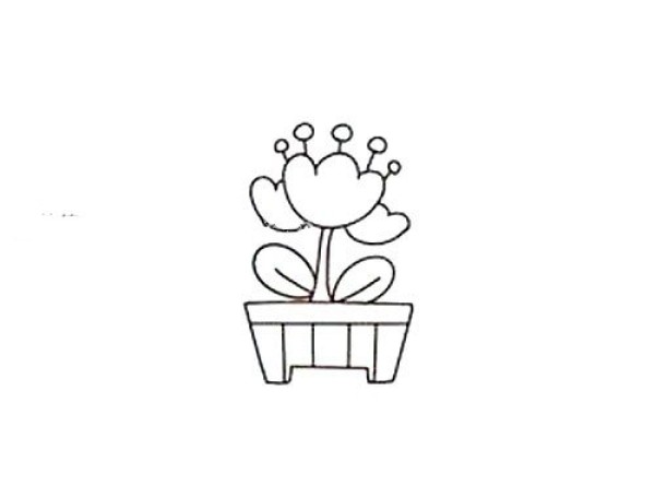 How to draw tulip potted plants