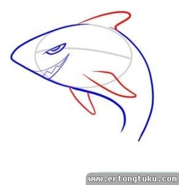 How to draw a shark simple drawing steps