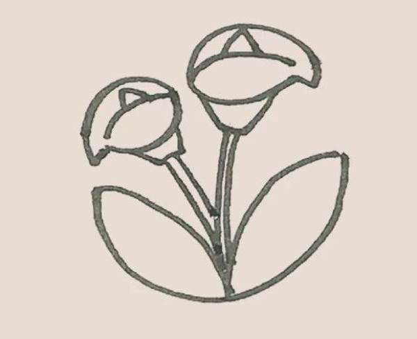 Simple strokes of calla lily