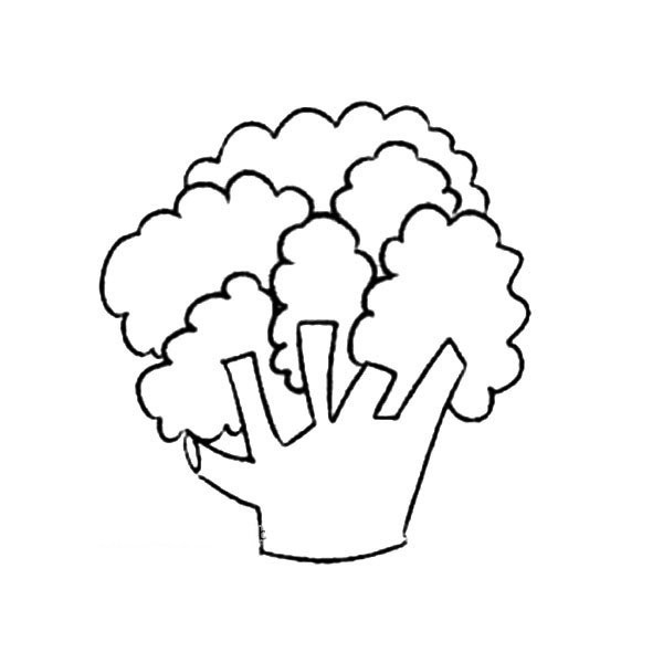 Beautiful simple drawing pictures of cauliflower