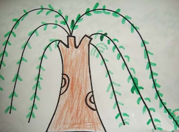 Colorful willow tree simple drawing picture