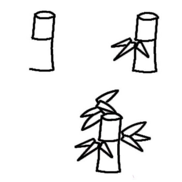 Bamboo simple drawing tutorial step pictures: How to draw bamboo