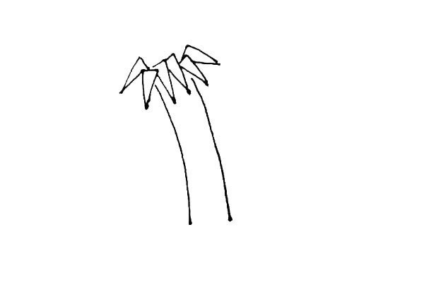 How to draw bamboo