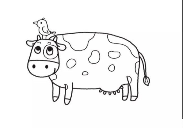 How to draw cows on the farm