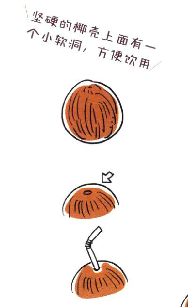 How to draw a cute coconut tree in four steps